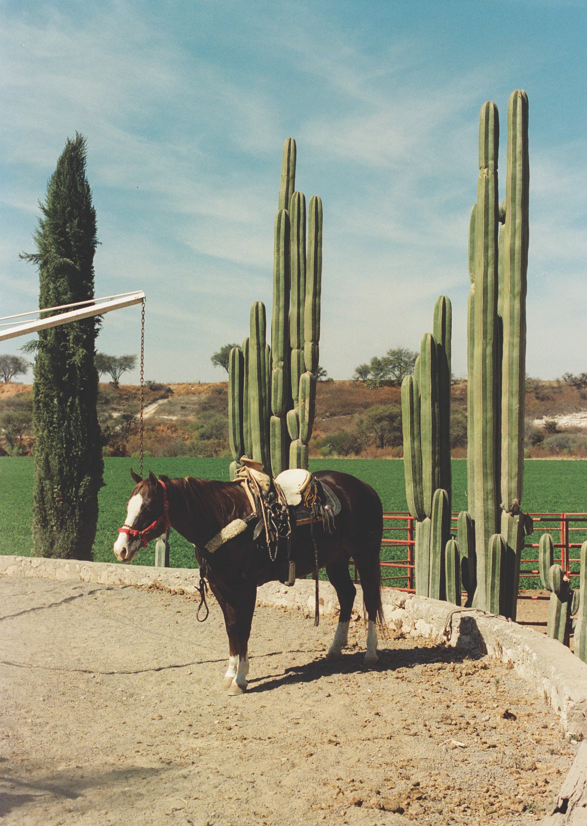 Rancho El Soyate