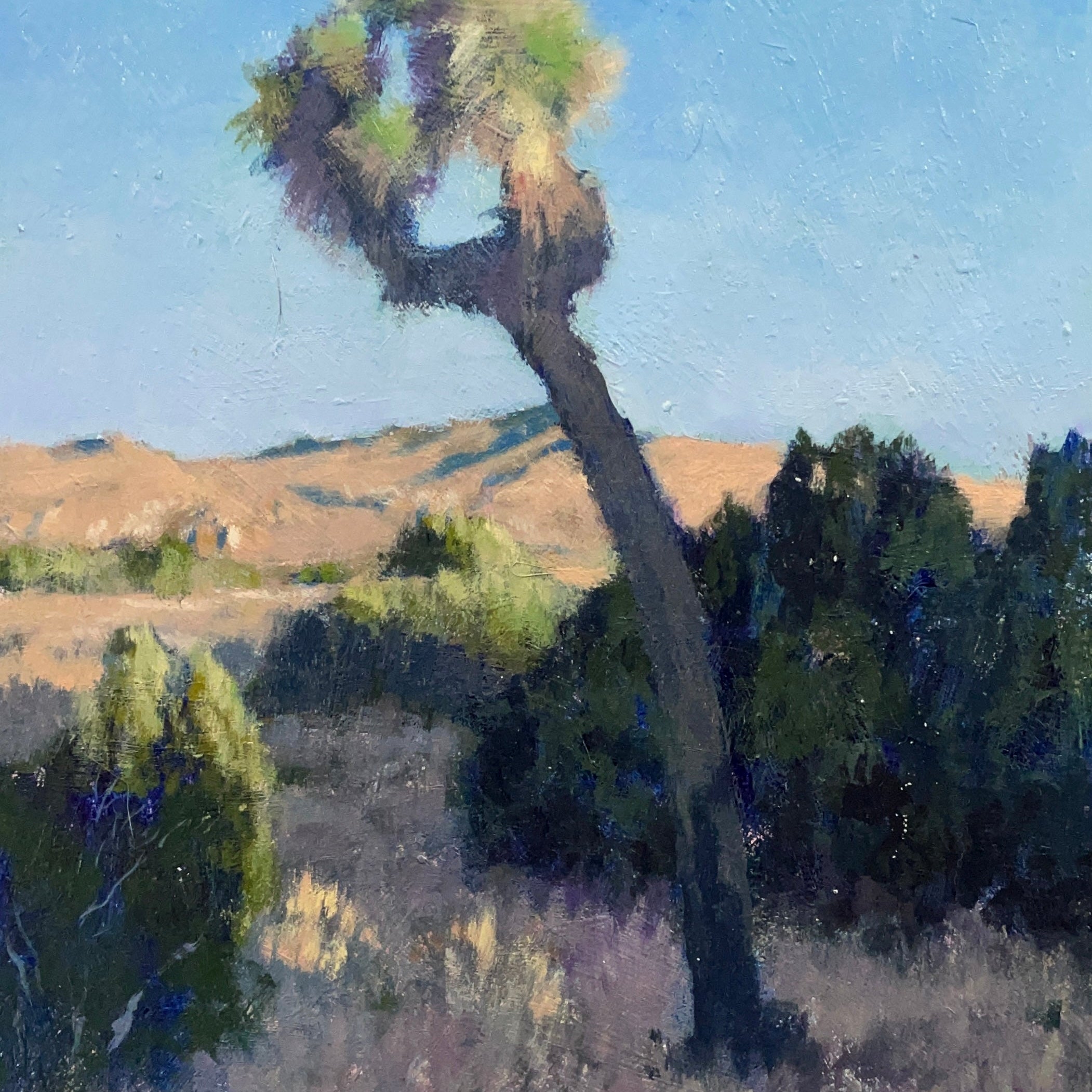 "Ryan Ranch (Sunrise)"