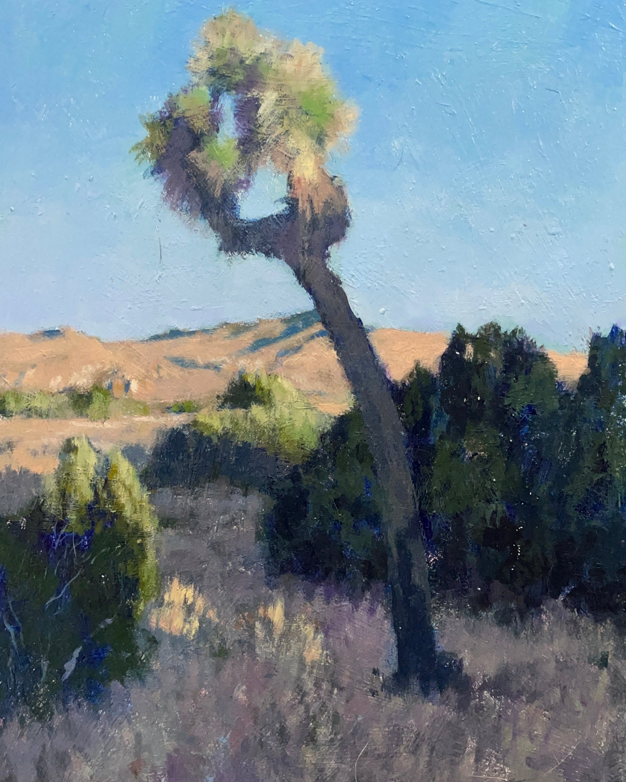 "Ryan Ranch (Sunrise)"