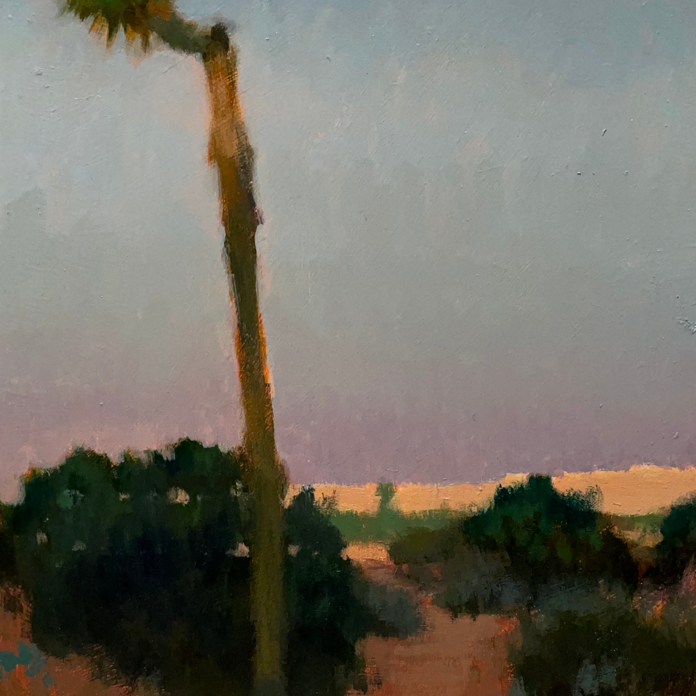 "Ryan Ranch (sunset)"
