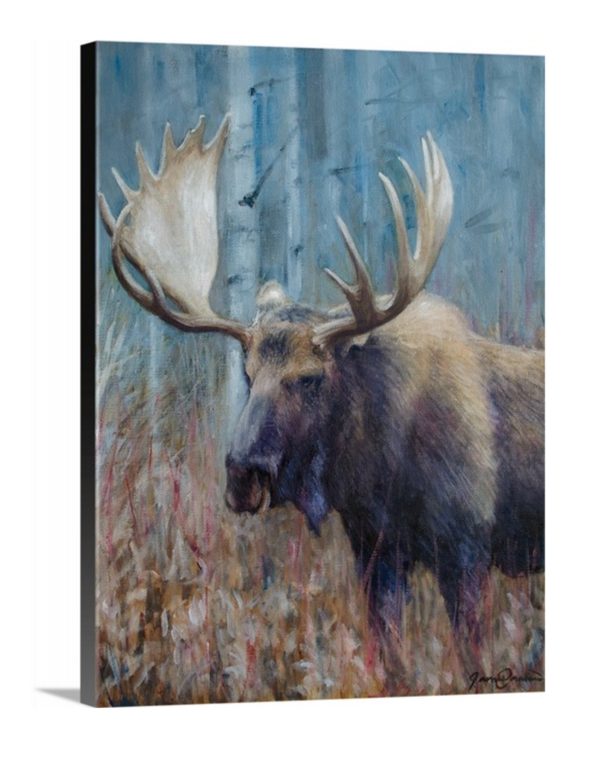 Fall Moose Study - Open Edition