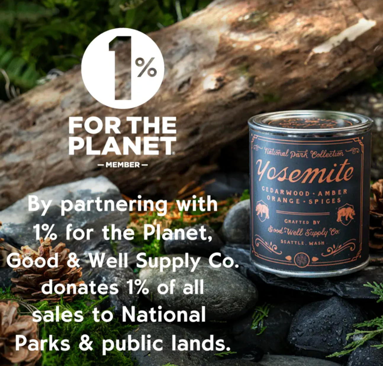 Congaree National Park Candle