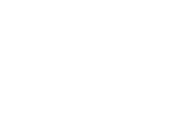 The Supersonic Art Shop