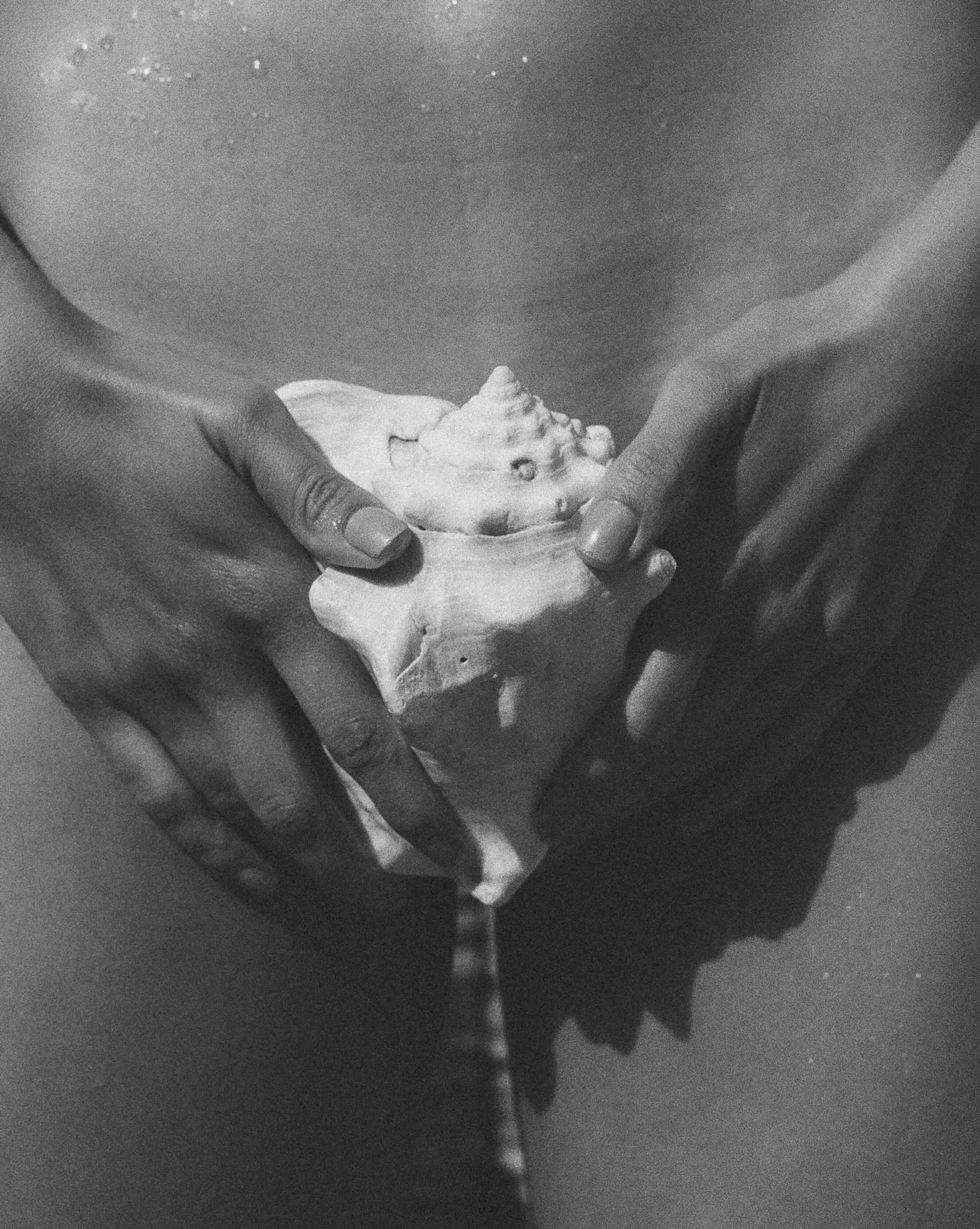 The Shell