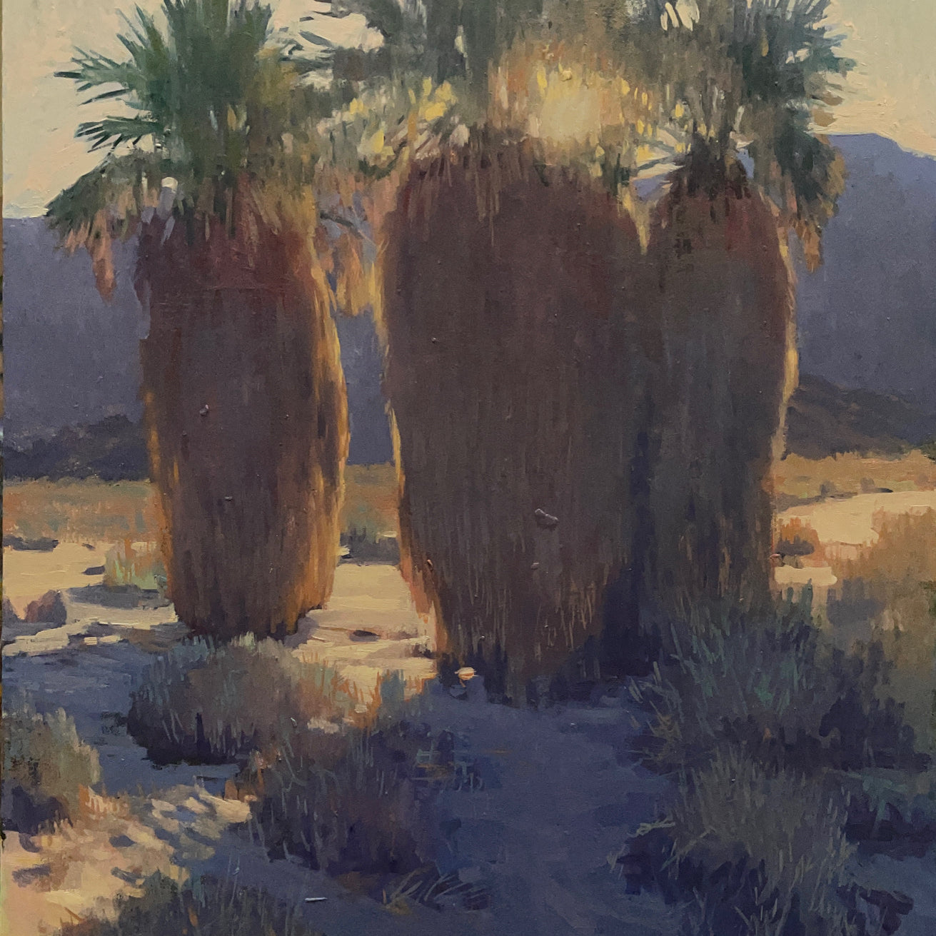 "Winter Sunset, Borrego Springs"