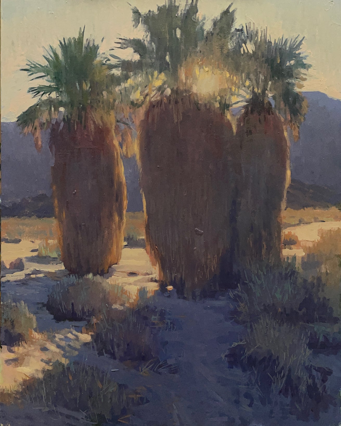 "Winter Sunset, Borrego Springs"