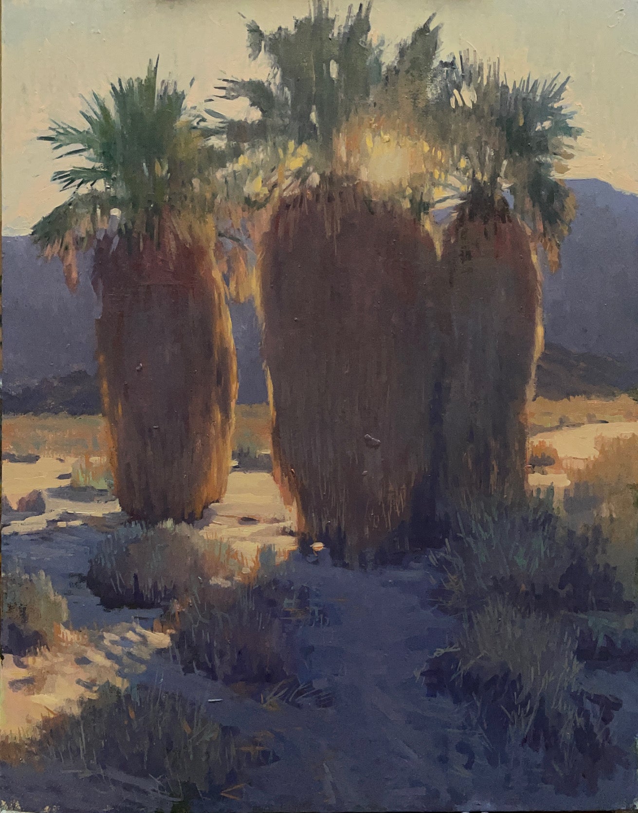 "Winter Sunset, Borrego Springs"