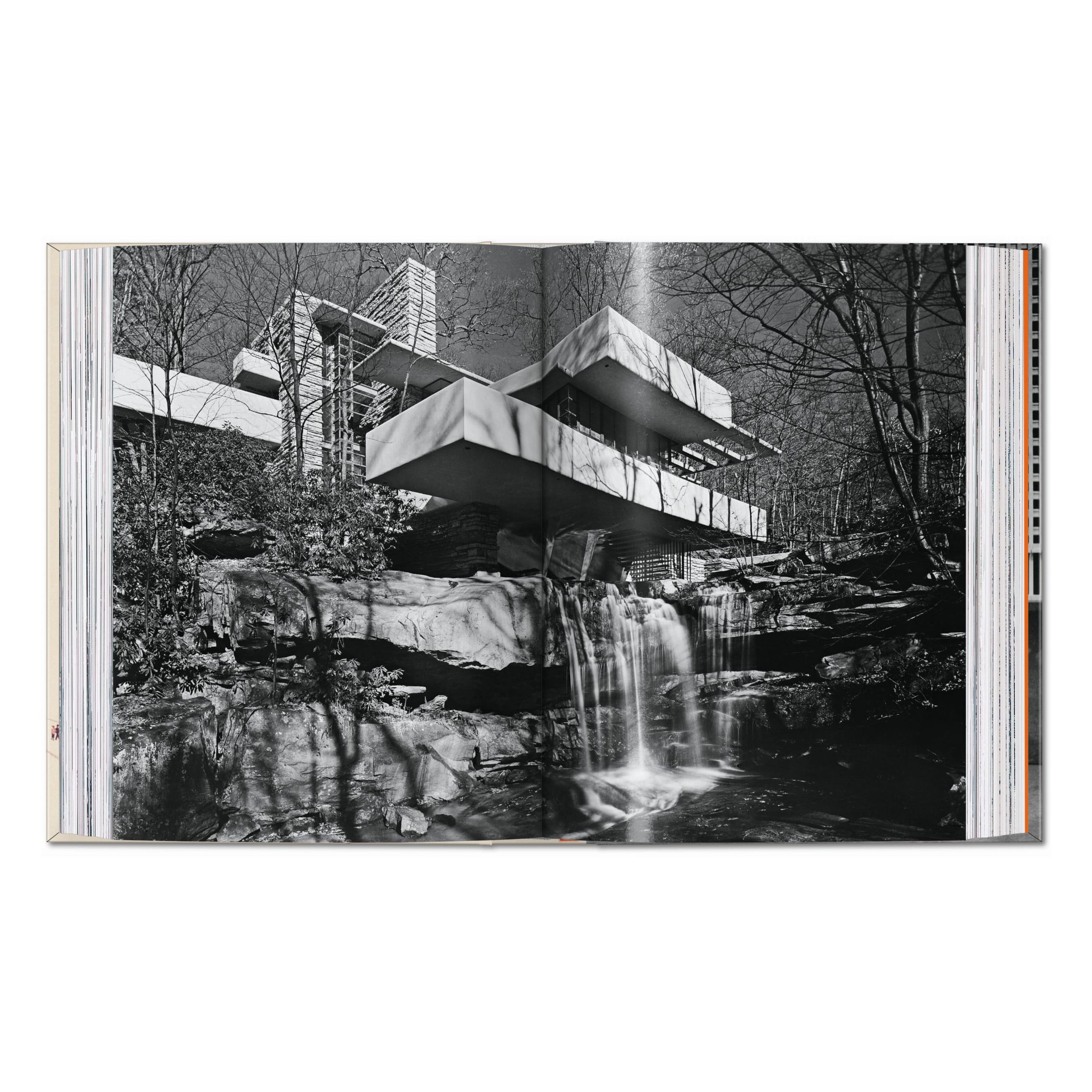 Frank Lloyd Wright. 45th Ed. (English) – The Supersonic Art Shop