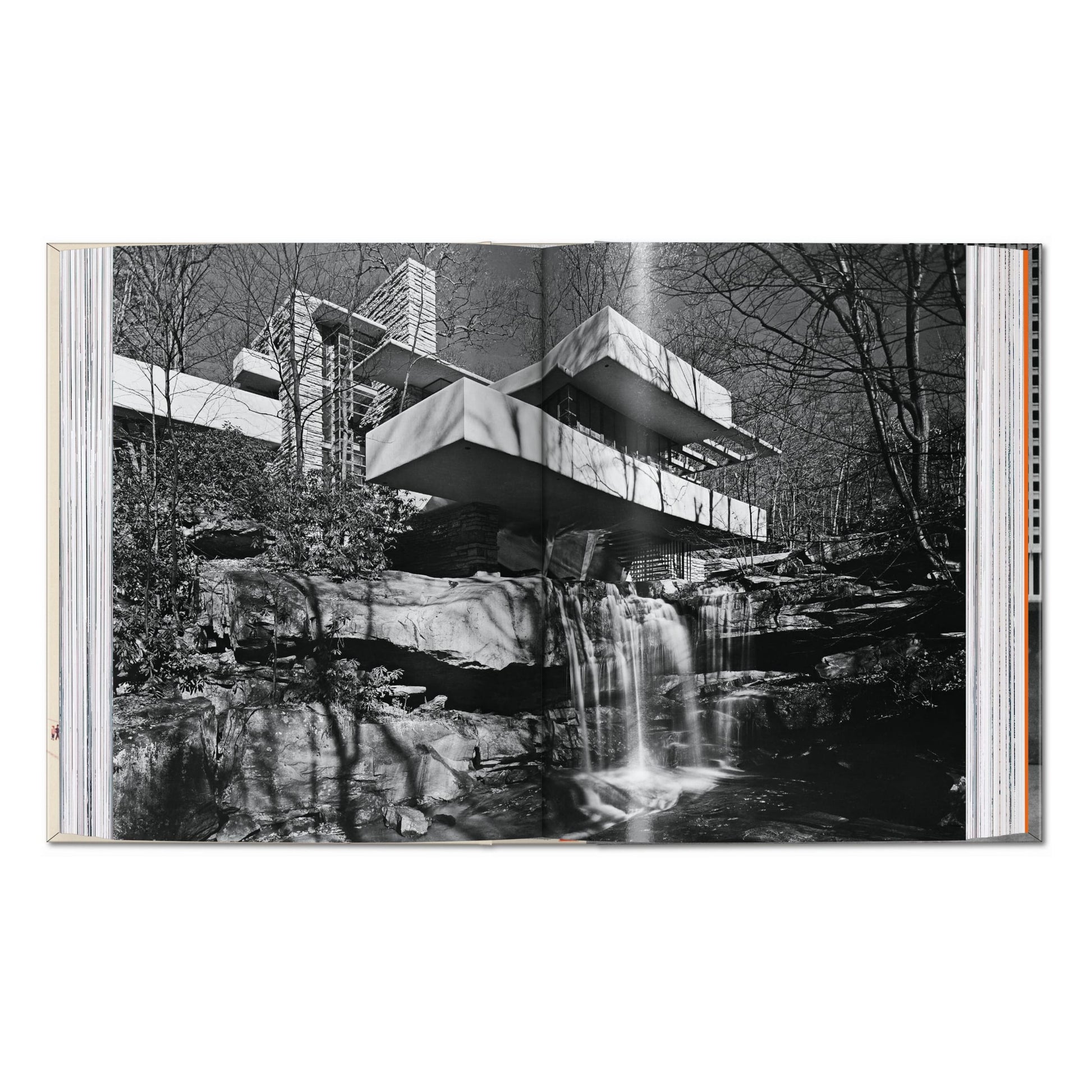 Frank Lloyd Wright. 45th Ed. (English)