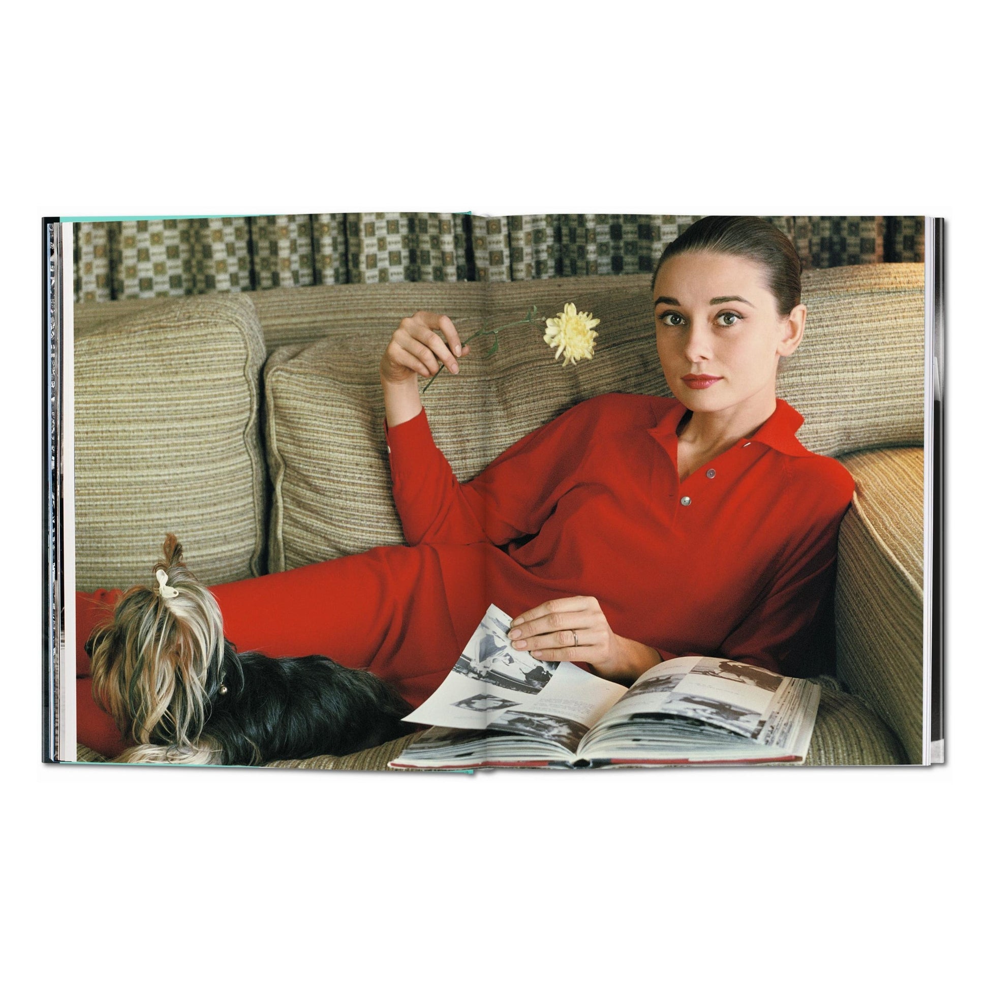 Bob Willoughby. Audrey Hepburn. Photographs 1953–1966 (German, French, English)