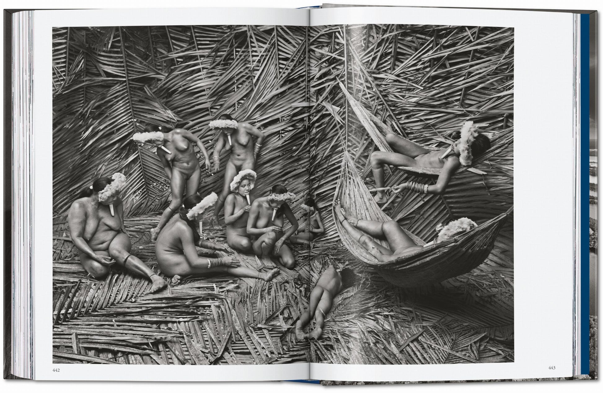 Sebastião Salgado. Amazônia. 45th Ed. (English)