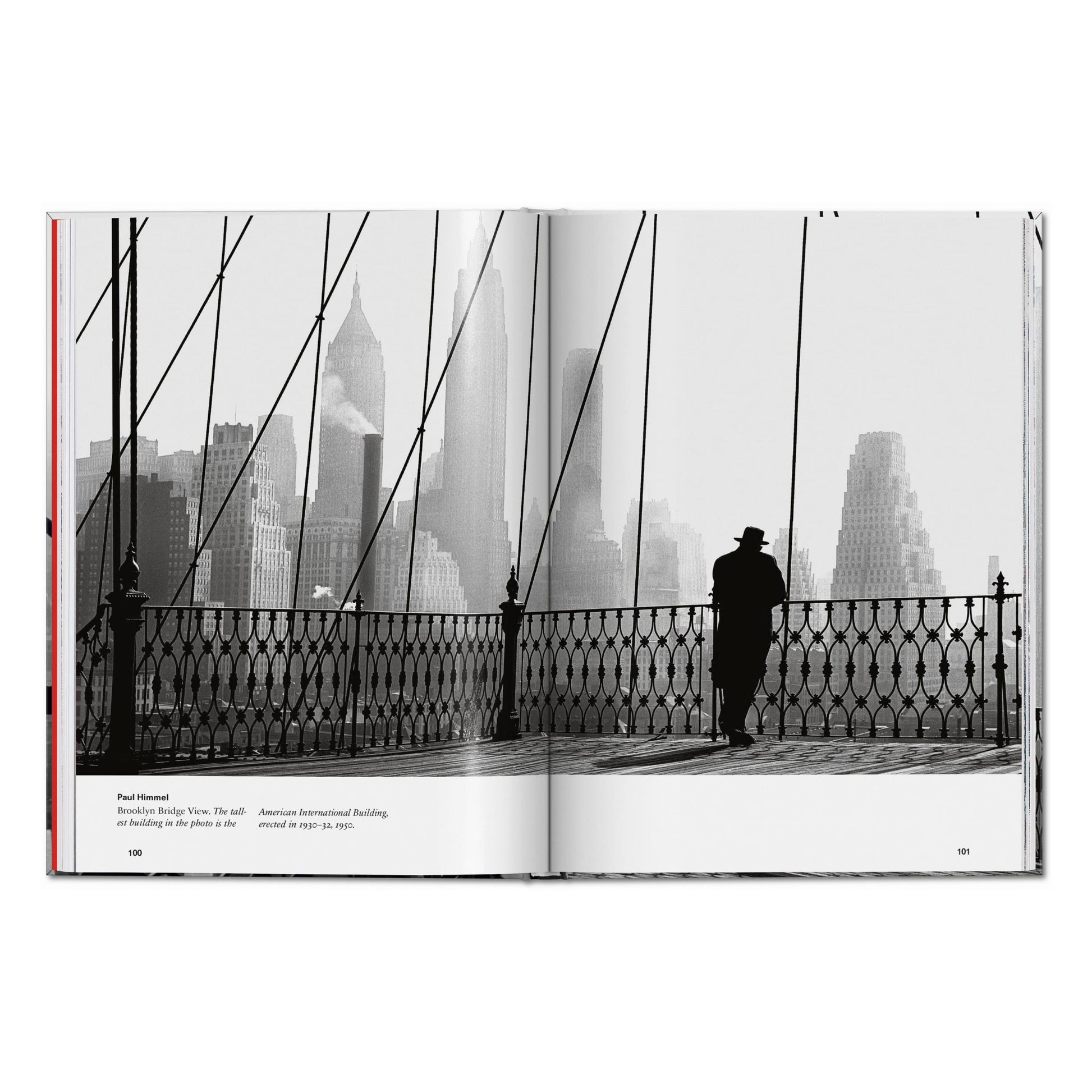 New York. Portrait of a City (English)