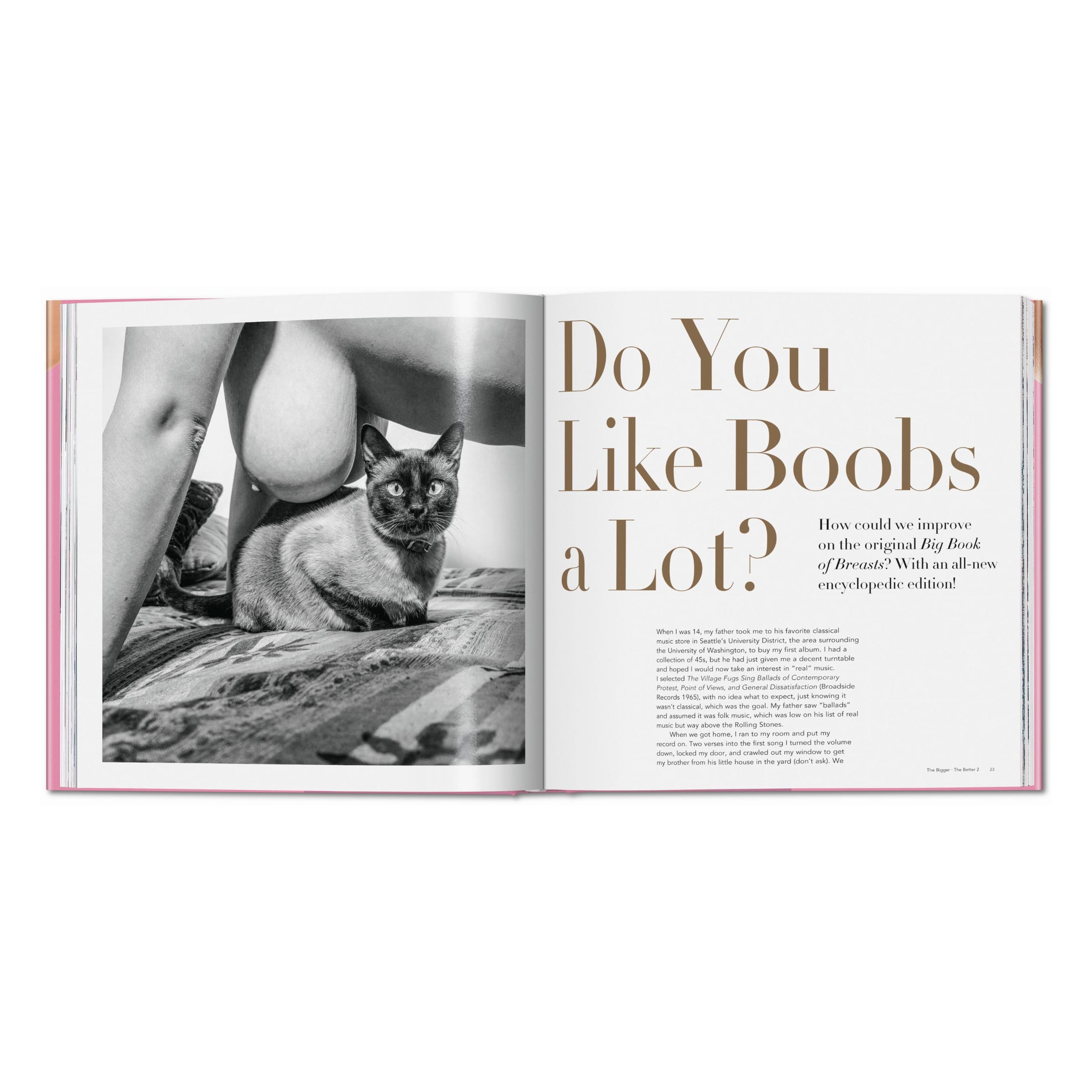 The Bigger Book of Breasts (English)