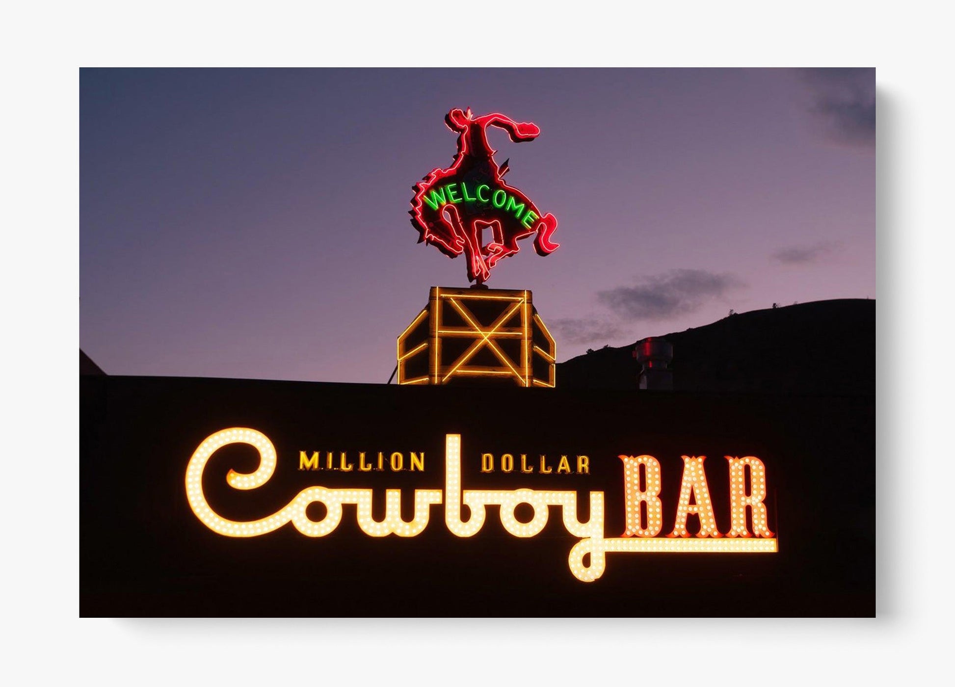 Million Dollar Cowboy