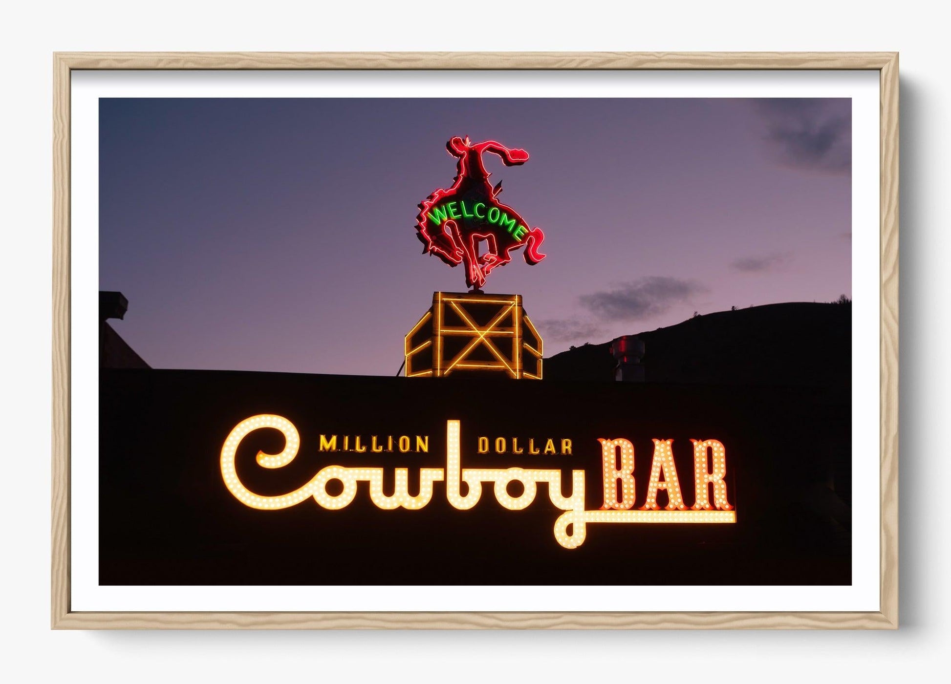 Million Dollar Cowboy