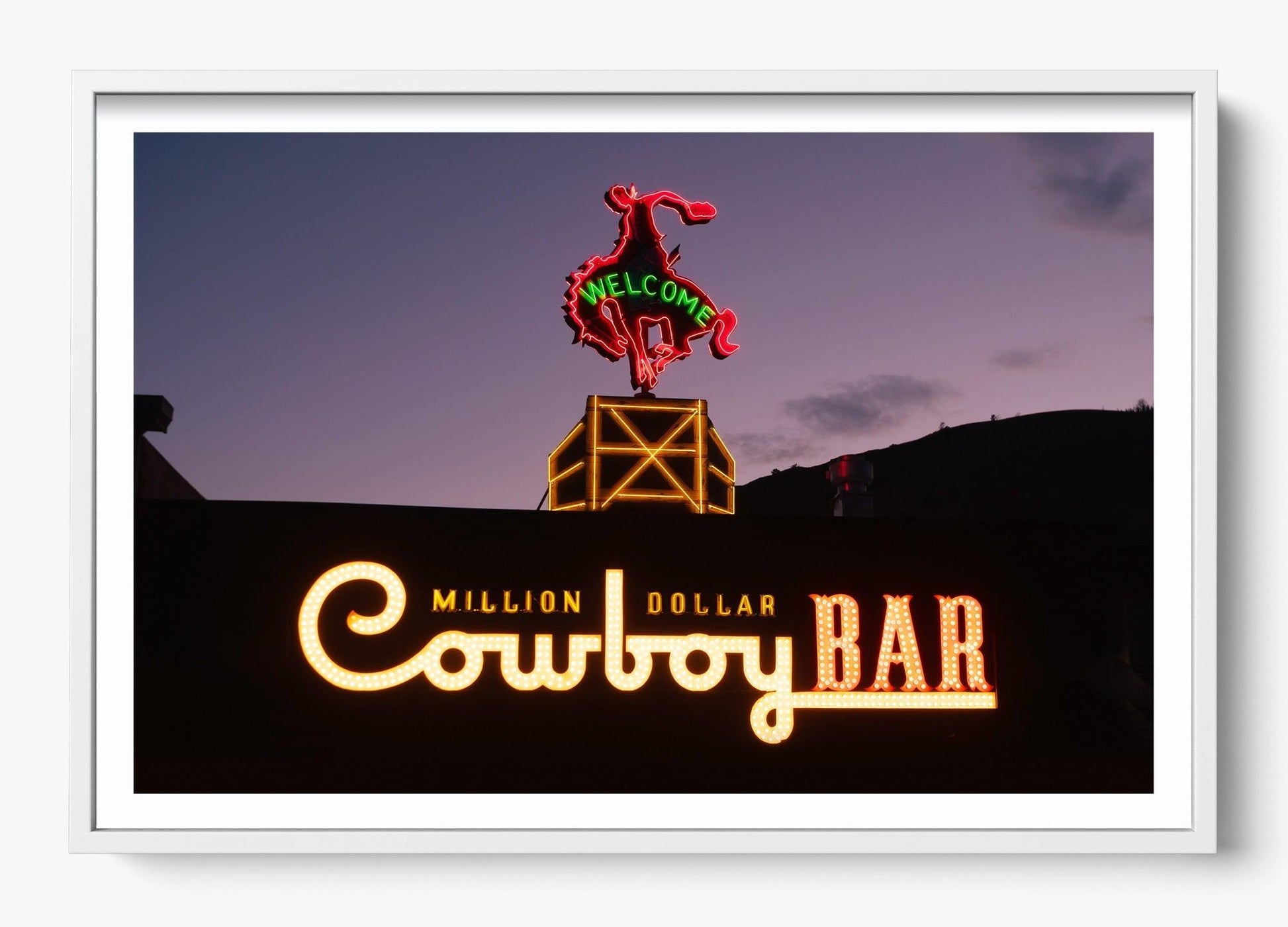 Million Dollar Cowboy