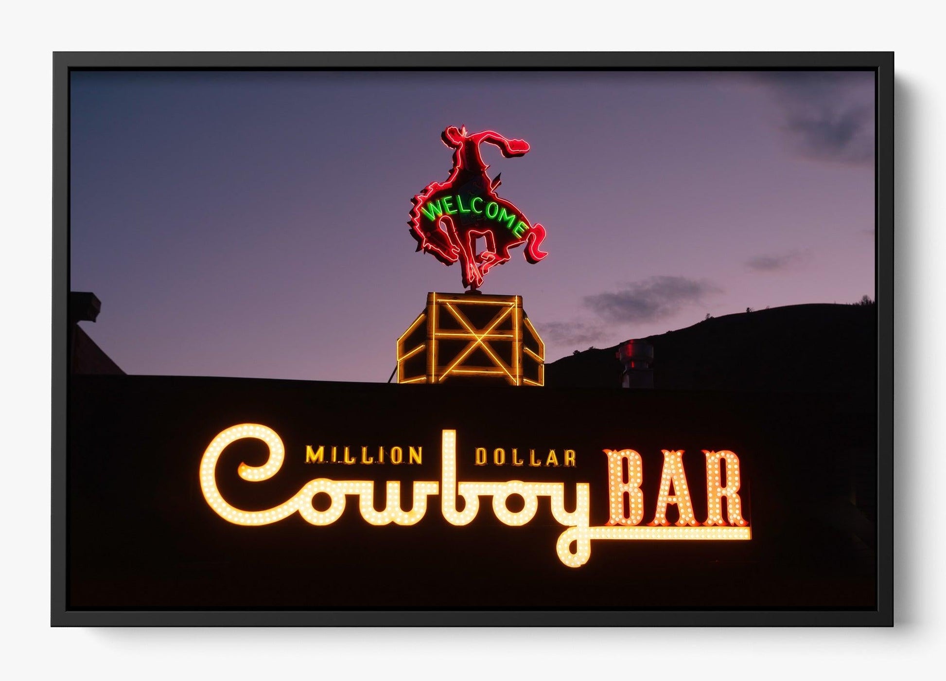 Million Dollar Cowboy