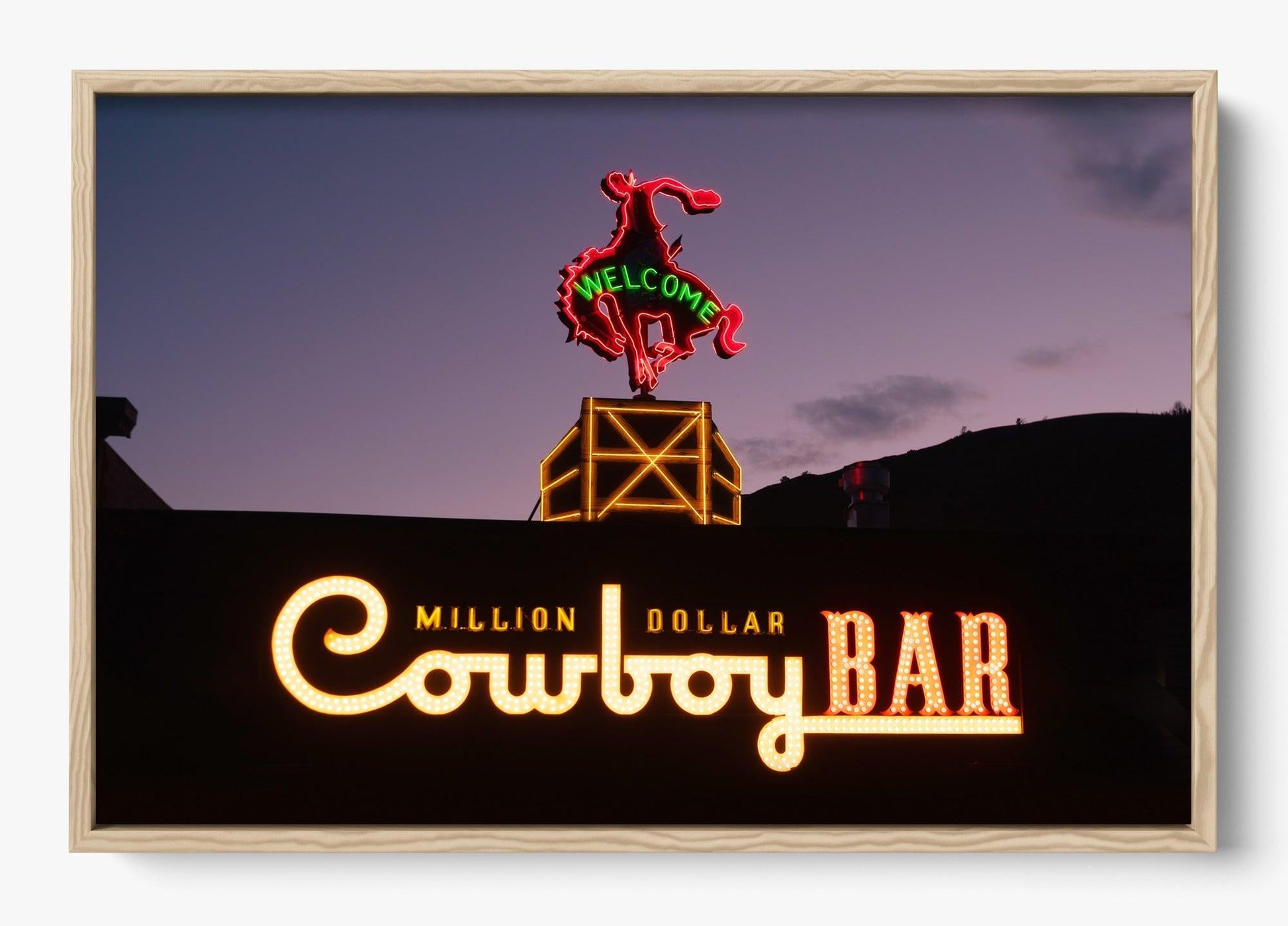 Million Dollar Cowboy